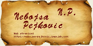Nebojša Pejković vizit kartica